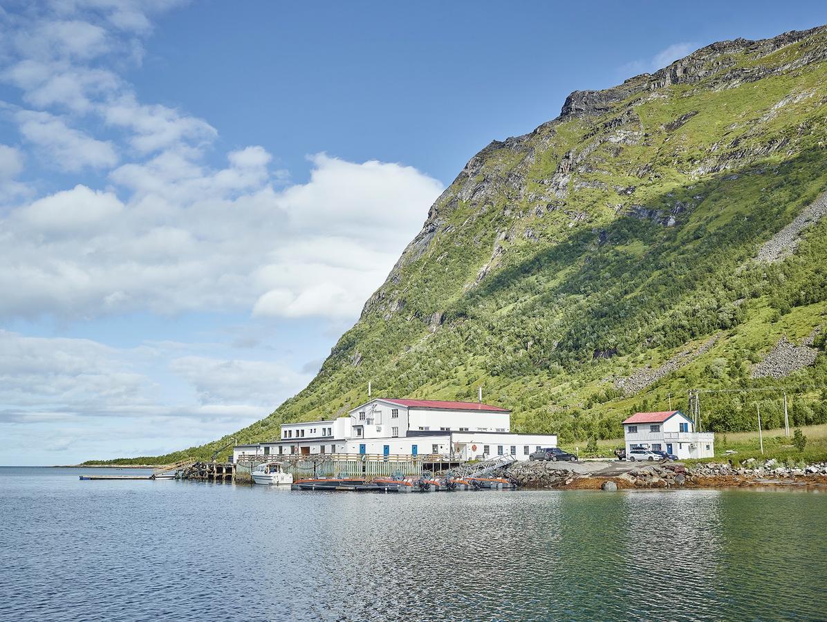 Northern Light Hotell/Camp Steinfjord Berg  Extérieur photo
